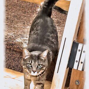 Meet your Posher, Ellen